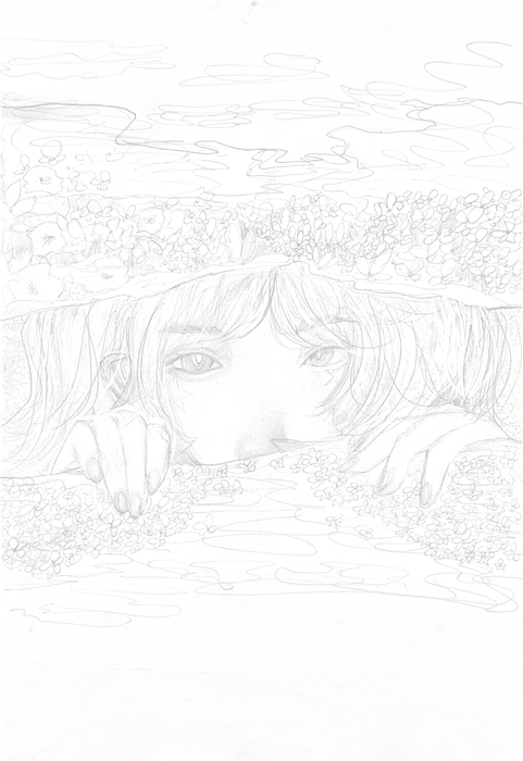 野花 Wildflower圖片